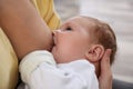 Young woman breast feeding her little baby at home Royalty Free Stock Photo