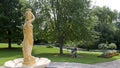 Young women doing yoga outdoors. Background of a beautiful public park in summer