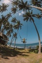 Young women in green dress swinging over the beach near the ocean Royalty Free Stock Photo