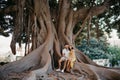 A woman hugs with her boyfriend on a root of an old Valencian Ficus Macrophylla Royalty Free Stock Photo