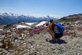 A young women hiking stops to take a picture of purple wildflowers on top of Whistler Mountain