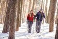 Woman and man in winter walking with sticks in wood