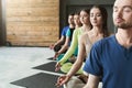 Young women and men in yoga class, relax meditation pose Royalty Free Stock Photo