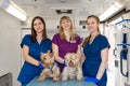 Young women professional pet doctors posing with yorkshire terriers inside pet ambulance. Animals healthcare concept