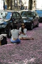 Young women sitting on road covered with red rose cherry blossoms Royalty Free Stock Photo