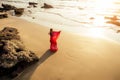 Young women wearing a red saree on the beach goa India.girl in traditional indian sari on the shore of a paradise island Royalty Free Stock Photo