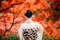 Young Japanese women Kimono with colorful Kyoto, Japan