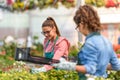 Young women working in beautiful garden center