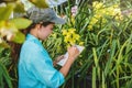 Young women write note among orchid garden. Colorful orchids, Orchid flower bloom Royalty Free Stock Photo