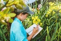 Young women write note among orchid garden. Colorful orchids, Orchid flower bloom Royalty Free Stock Photo