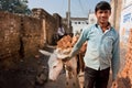 Young worker leads a donkey loaded with bricks