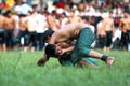 Young wrestlers fight for victory at the Kirkpinar Turkish Oil Wrestling Festival in Edirne in Turkey.