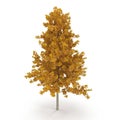 Young Yellow Poplar tree isolated on white. 3D illustration