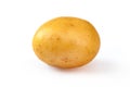 Young yellow potato, isolated on white. Close up Royalty Free Stock Photo