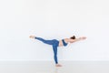 Young yogi attractive woman practicing yoga concept. Exercise bird dog pose. Sport and wellbeing. Copy space