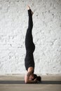 Young yogi woman in salamba sirsasana pose, white loft backgroun Royalty Free Stock Photo