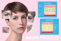 Younger skin and aging skin. elastin and collagen. Royalty Free Stock Photo