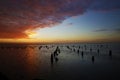 Youngs Bay Sunset and Pillings at low tide.