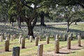 Yountville CA veterans home cemetary Royalty Free Stock Photo