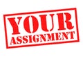 YOUR ASSIGNMENT