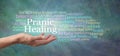 Your body is designed to self heal - try Pranic Healing