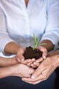 Your business is most vulnerable in its early stages. Shhot of a group of businesspeoples hands holding a young plant in Royalty Free Stock Photo