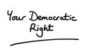 Your Democratic Right