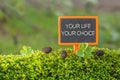 Your life your choice text on small blackboard Royalty Free Stock Photo