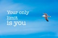 Your only limit is you blue sky background Royalty Free Stock Photo