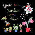 Your little garden on the balcony. Cute card with beautiful flowers in flowerpots - cups and raccoons