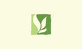 Leaf plant logo vector icon