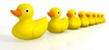 Your Toy Rubber Ducks In A Row Royalty Free Stock Photo