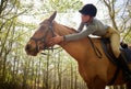 Youre such a good boy. an attractive young woman petting her horse during a ride in the forest. Royalty Free Stock Photo