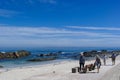 Tourists walking