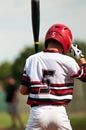 Youth baseball boy up to bat