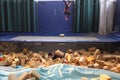 Gymnastics school in China