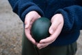 Youth holds an emu egg on a farm in Northumberland, UK. Keeping emus is increasingly Royalty Free Stock Photo