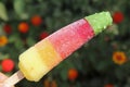 Youth ice pop from the freezer with a touch of frost and ice. Refreshing in the heat. Sweet dessert. The summer mood.