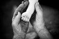 youth and old age. Hands of grandmother and granddaughter