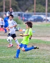 Youth Soccer Football Goalie Kicking the Ball Royalty Free Stock Photo