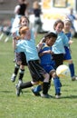 Girls Youth Soccer Action. Royalty Free Stock Photo