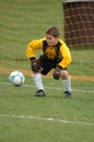 Youth Soccer Game Action. Royalty Free Stock Photo