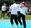 Youth and sport - promotion of kickboxing in the Belgrade Zoo