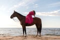 Youthful female wearing a pink dress posing on a horse on a beach