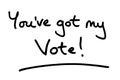 Youve got my vote Royalty Free Stock Photo