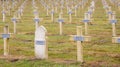 French Memorial cemetery of the great war