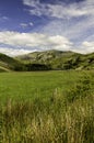 yr Wyddfa or Snowdon from Drws Y Coed, portrait