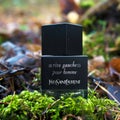 YSL Rive Gauche perfume in the forest. Royalty Free Stock Photo