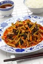 Yu xiang rou si, sichuan shredded pork Royalty Free Stock Photo