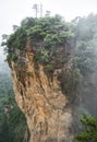 Yuanjiajie Scenic Area with clouds and mist, Wulingyuan, Zhangjiajie National Forest Park, Hunan Province, China, Asia Royalty Free Stock Photo